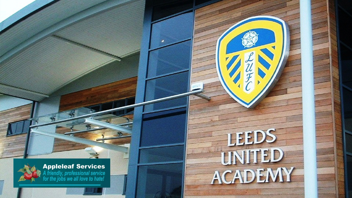 Report: Leeds United U21s 2-4 Iron